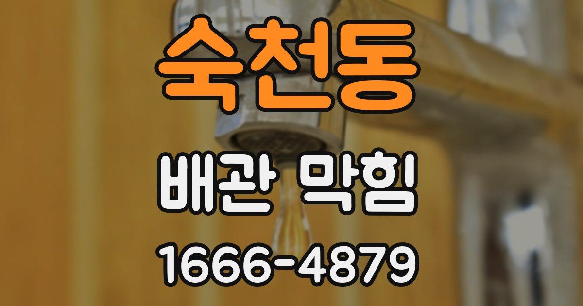 숙천동 배관 막힘