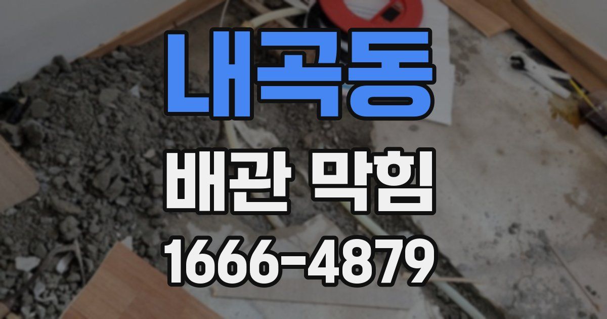 내곡동 배관 막힘