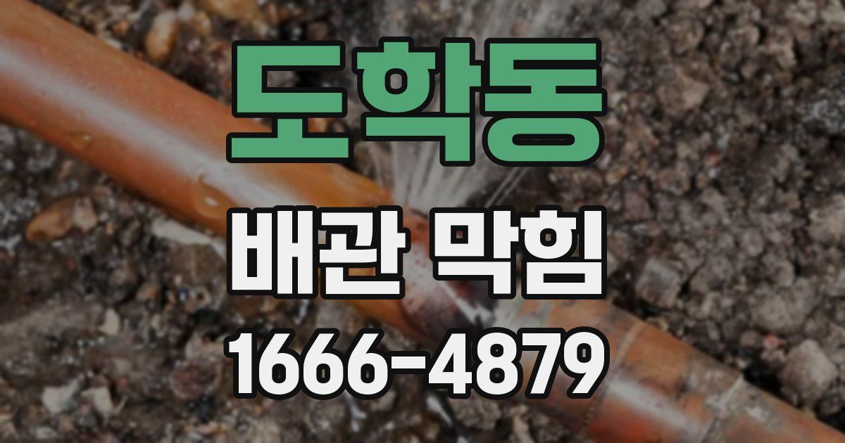 도학동 배관 막힘