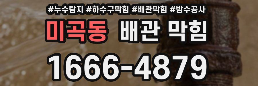 미곡동 배관 막힘