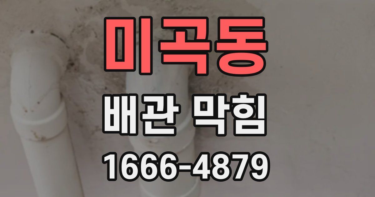 미곡동 배관 막힘