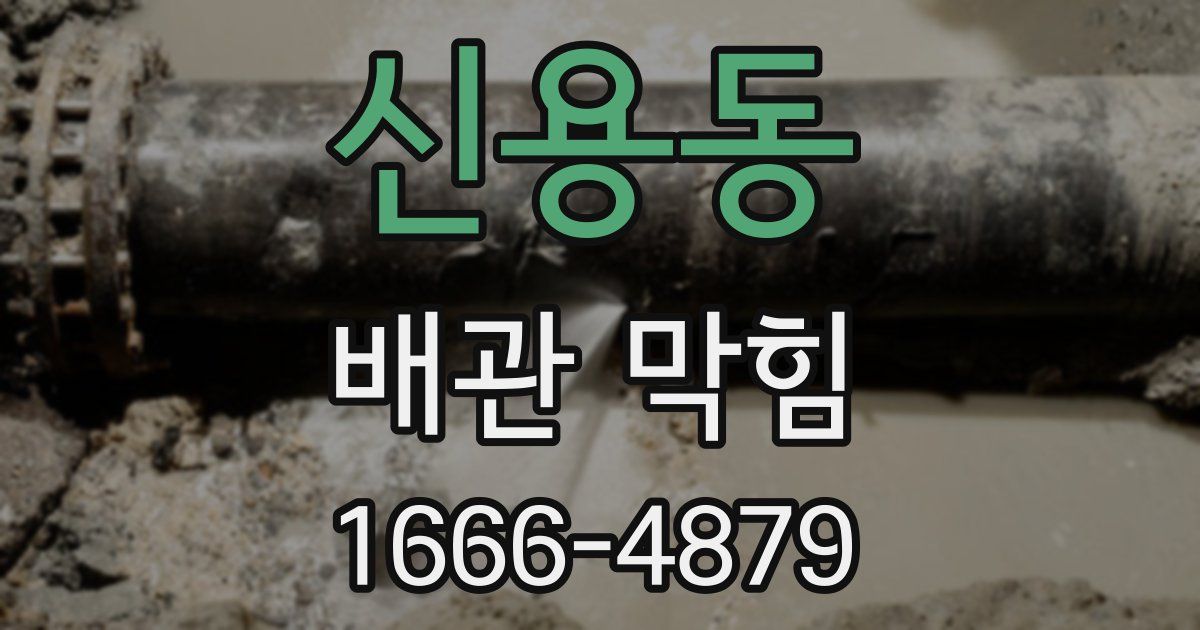 신용동 배관 막힘
