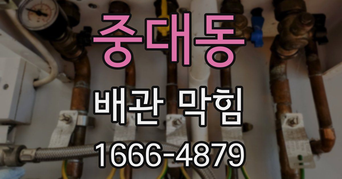 중대동 배관 막힘