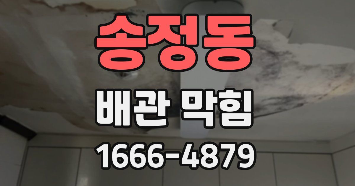 송정동 배관 막힘