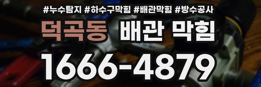 덕곡동 배관 막힘