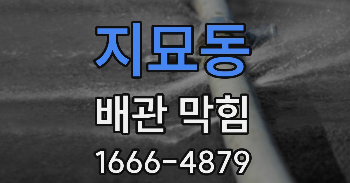 지묘동 배관 막힘