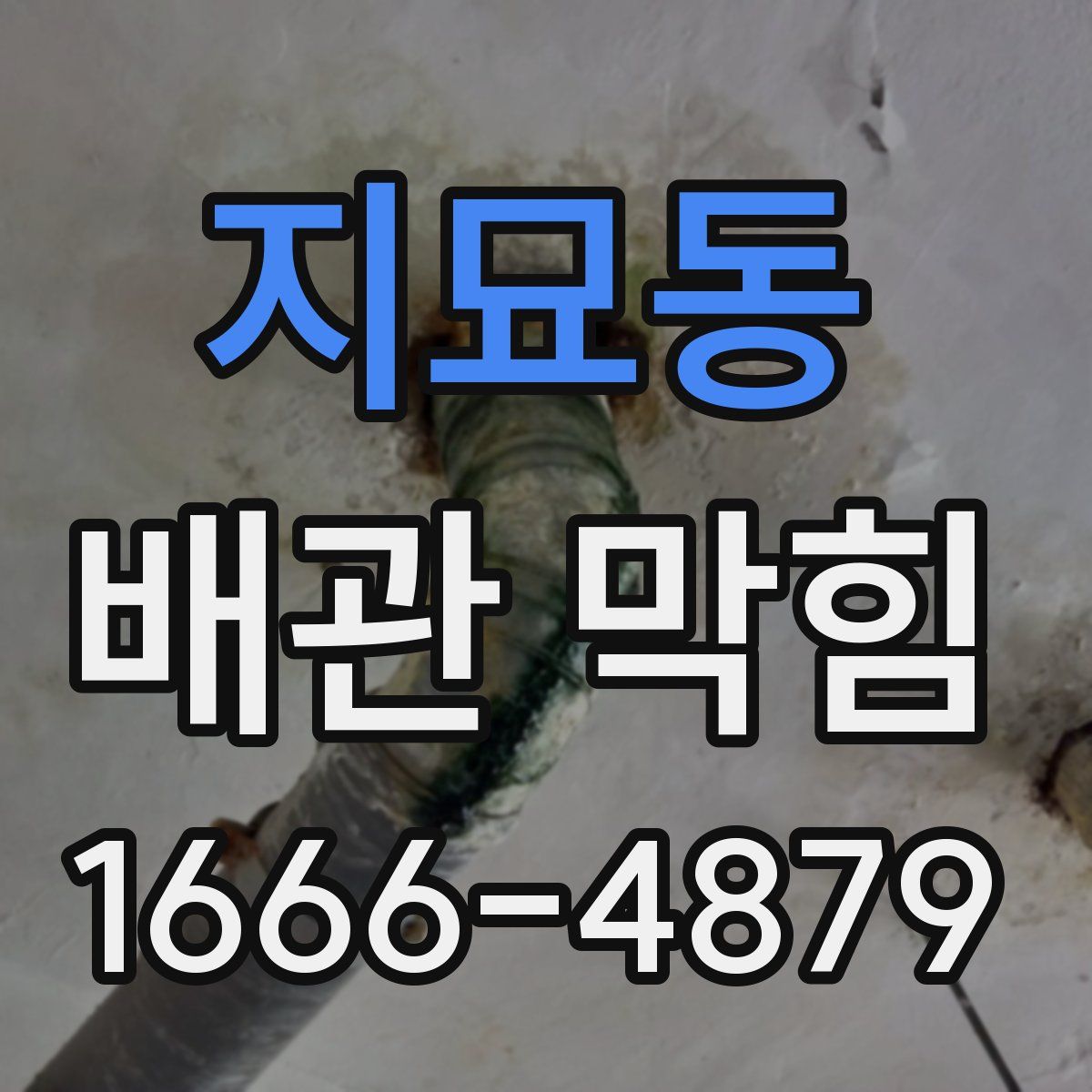 지묘동 배관 막힘