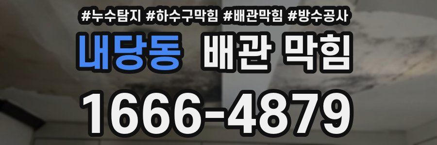 내당동 배관 막힘
