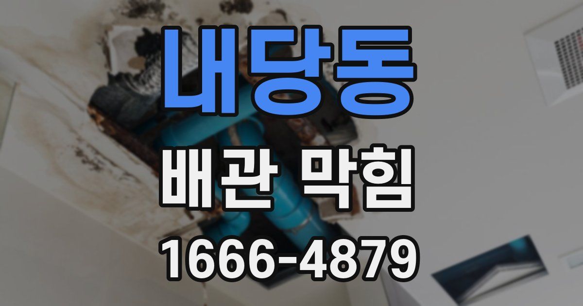 내당동 배관 막힘