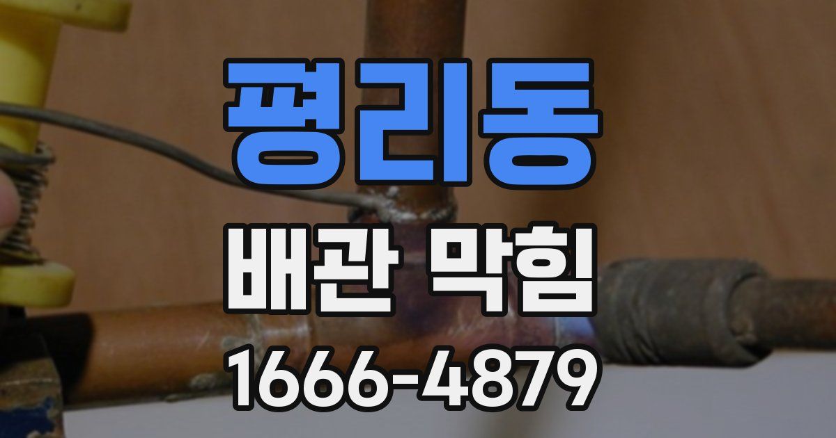 평리동 배관 막힘