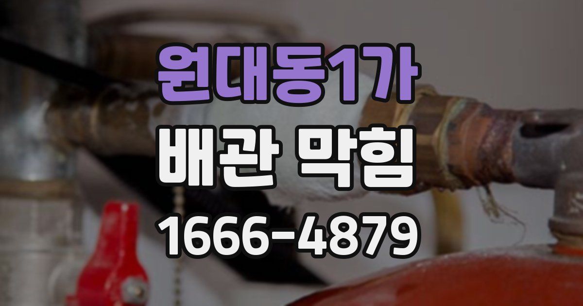 원대동1가 배관 막힘