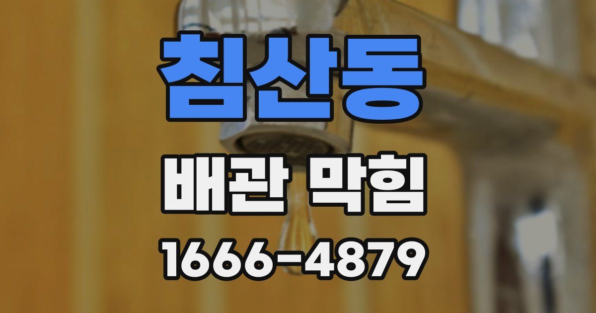 침산동 배관 막힘
