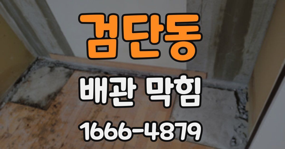 검단동 배관 막힘