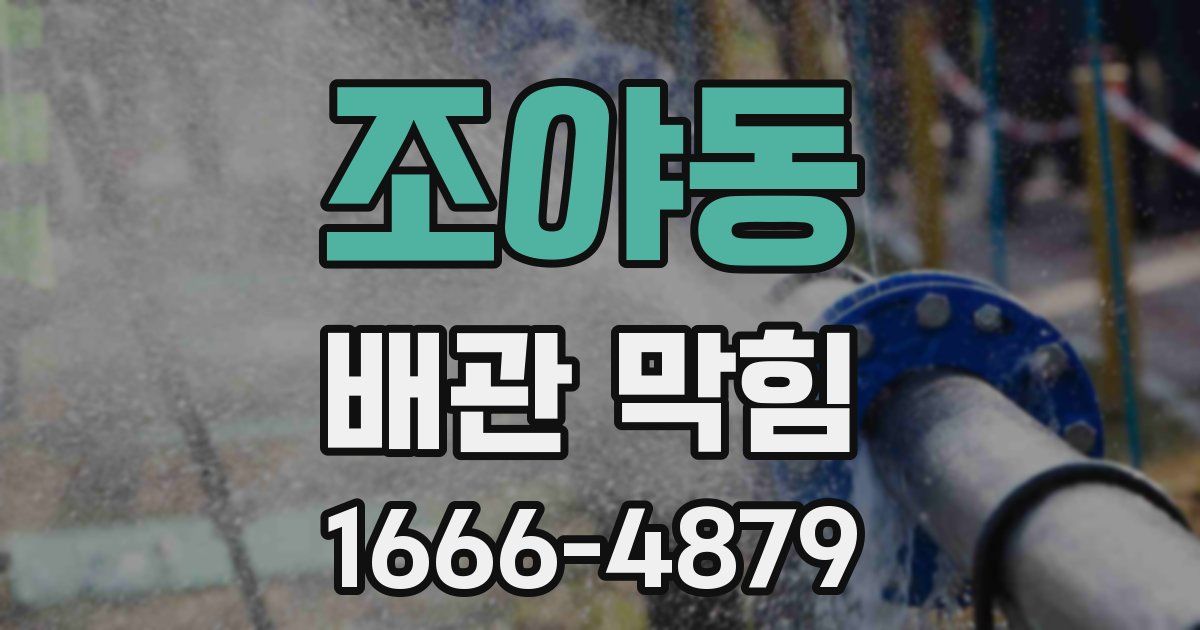 조야동 배관 막힘