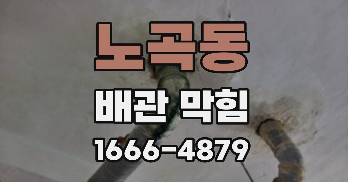 노곡동 배관 막힘