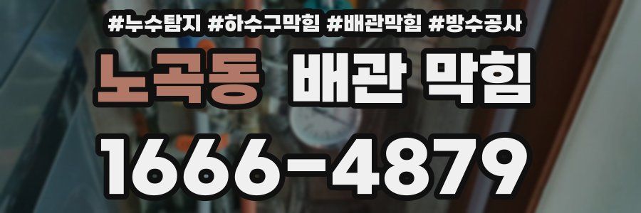 노곡동 배관 막힘