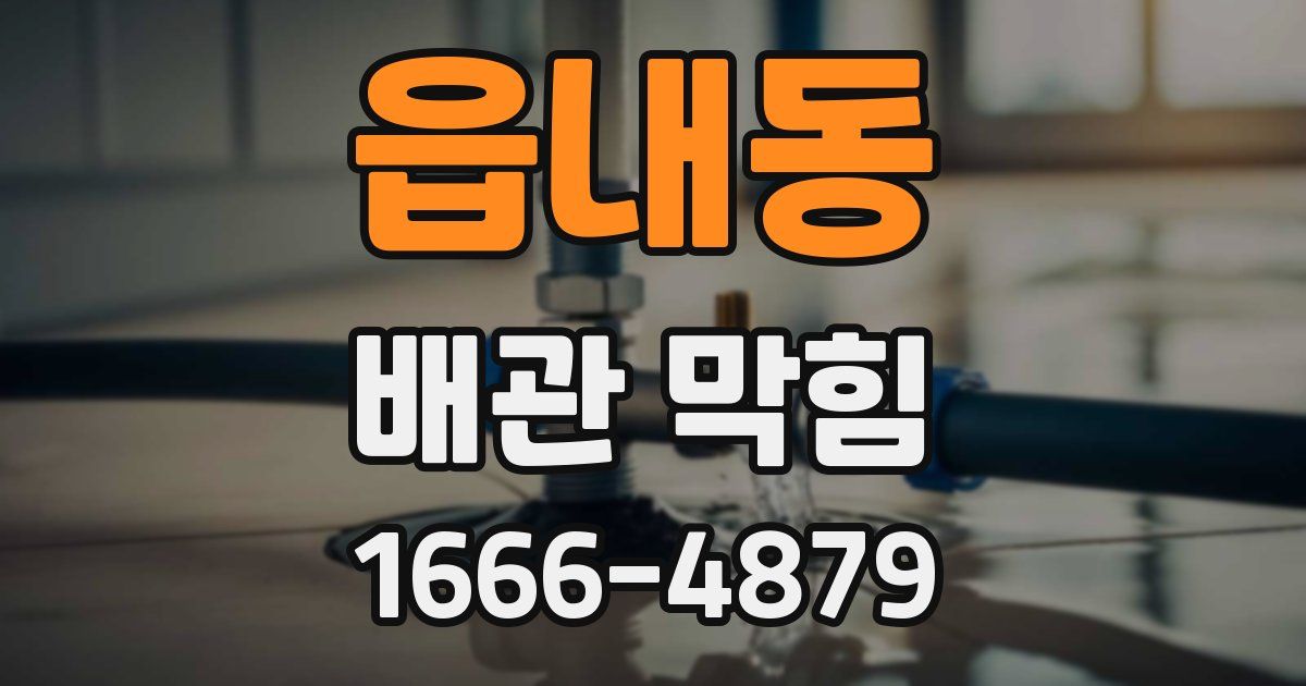 읍내동 배관 막힘