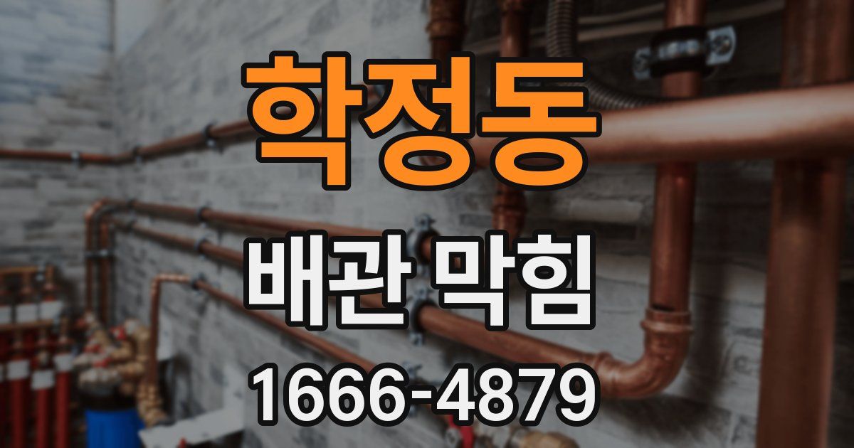 학정동 배관 막힘
