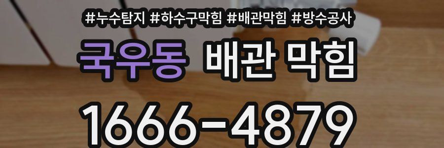 국우동 배관 막힘