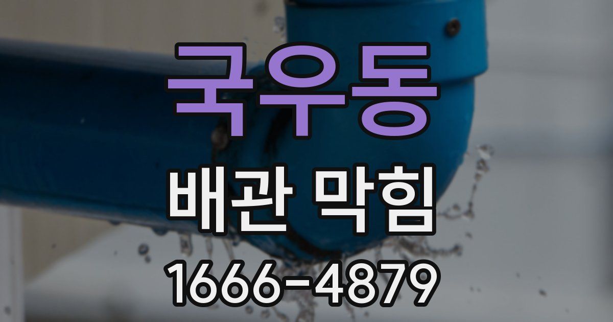 국우동 배관 막힘
