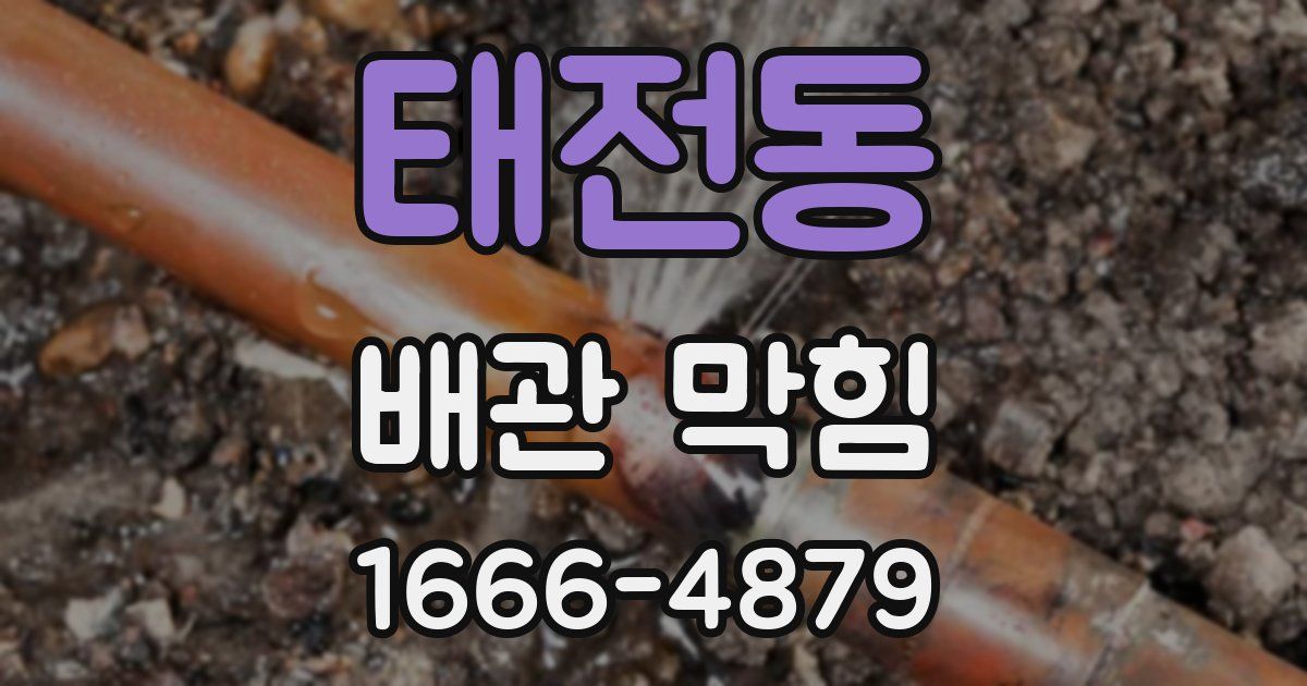 태전동 배관 막힘