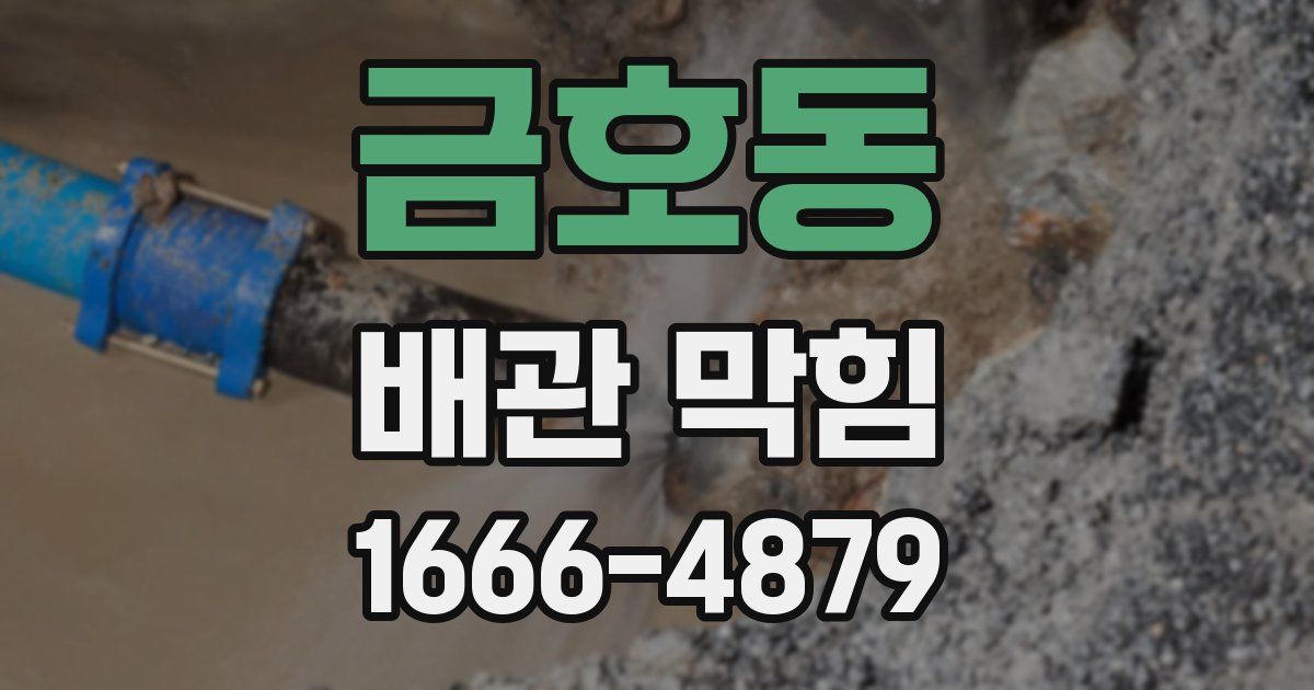 금호동 배관 막힘