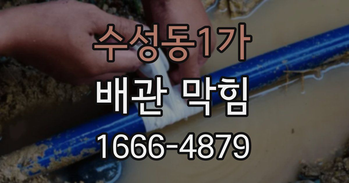 수성동1가 배관 막힘