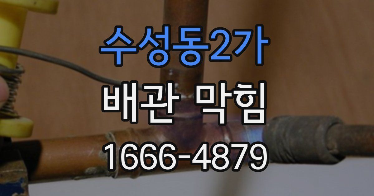 수성동2가 배관 막힘
