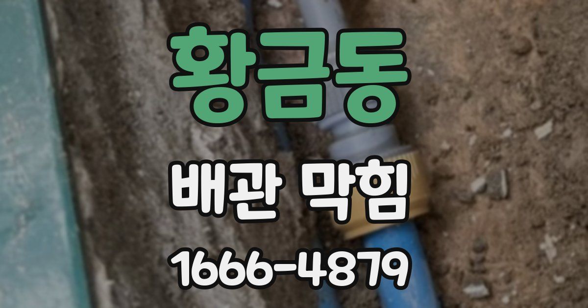 황금동 배관 막힘