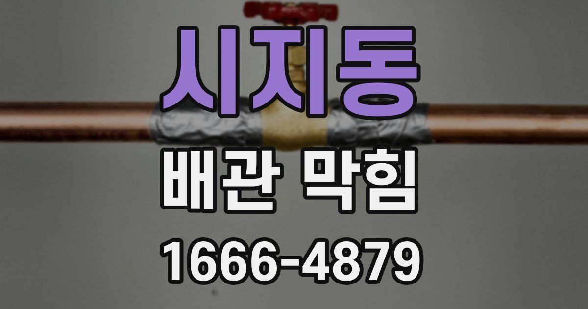 시지동 배관 막힘