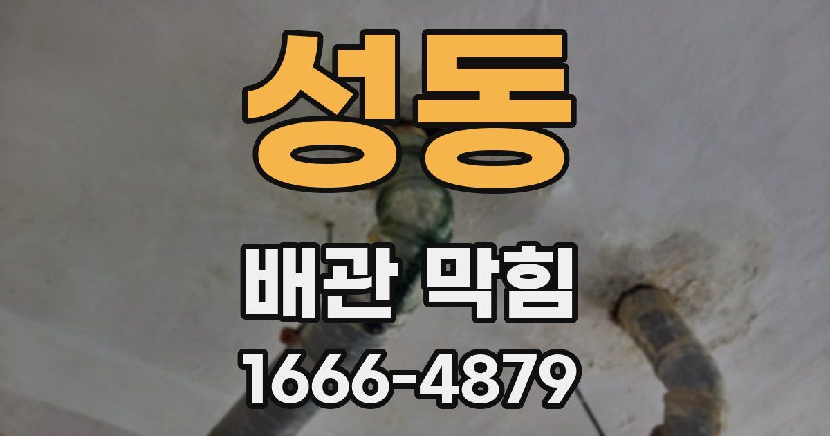 성동 배관 막힘