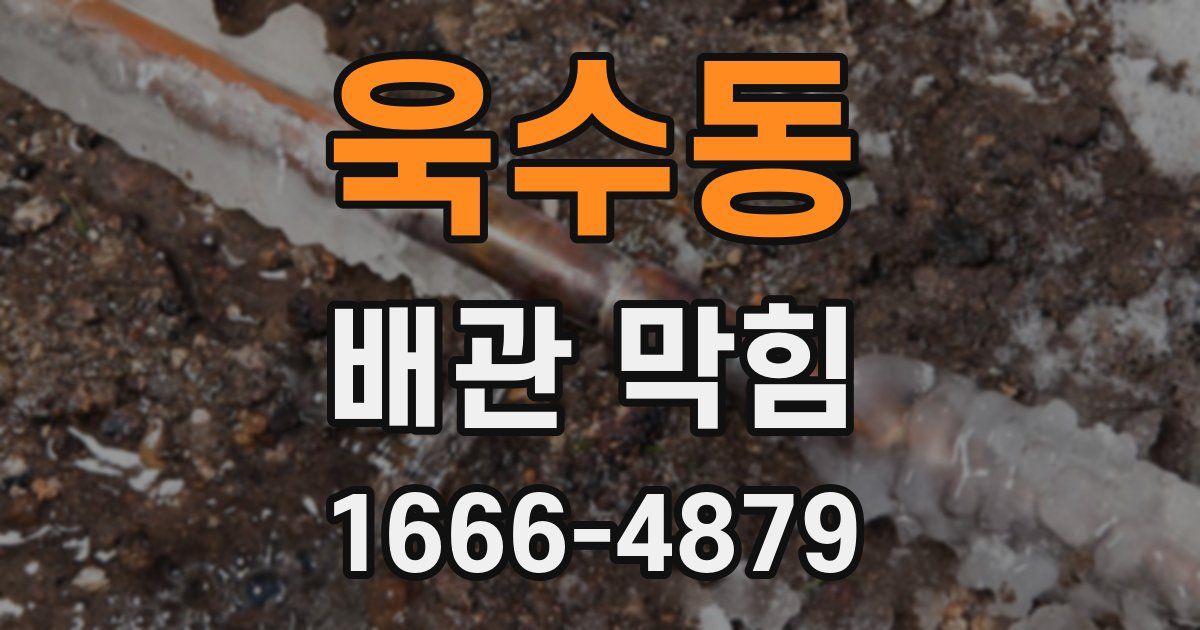 욱수동 배관 막힘