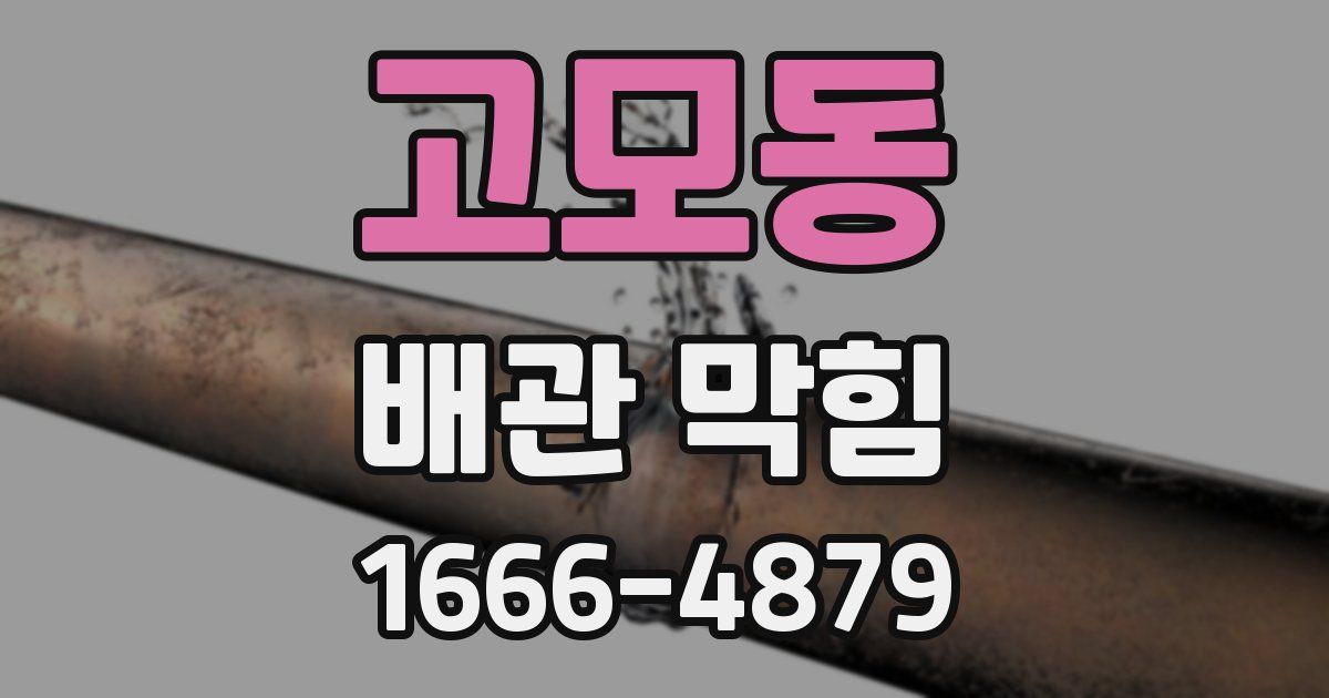 고모동 배관 막힘