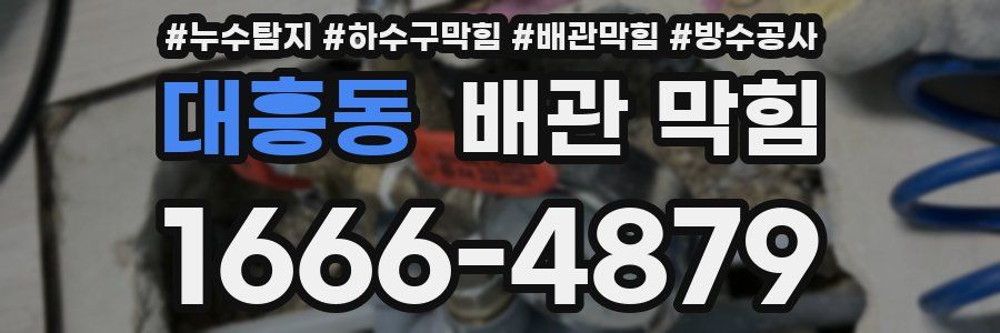 대흥동 배관 막힘