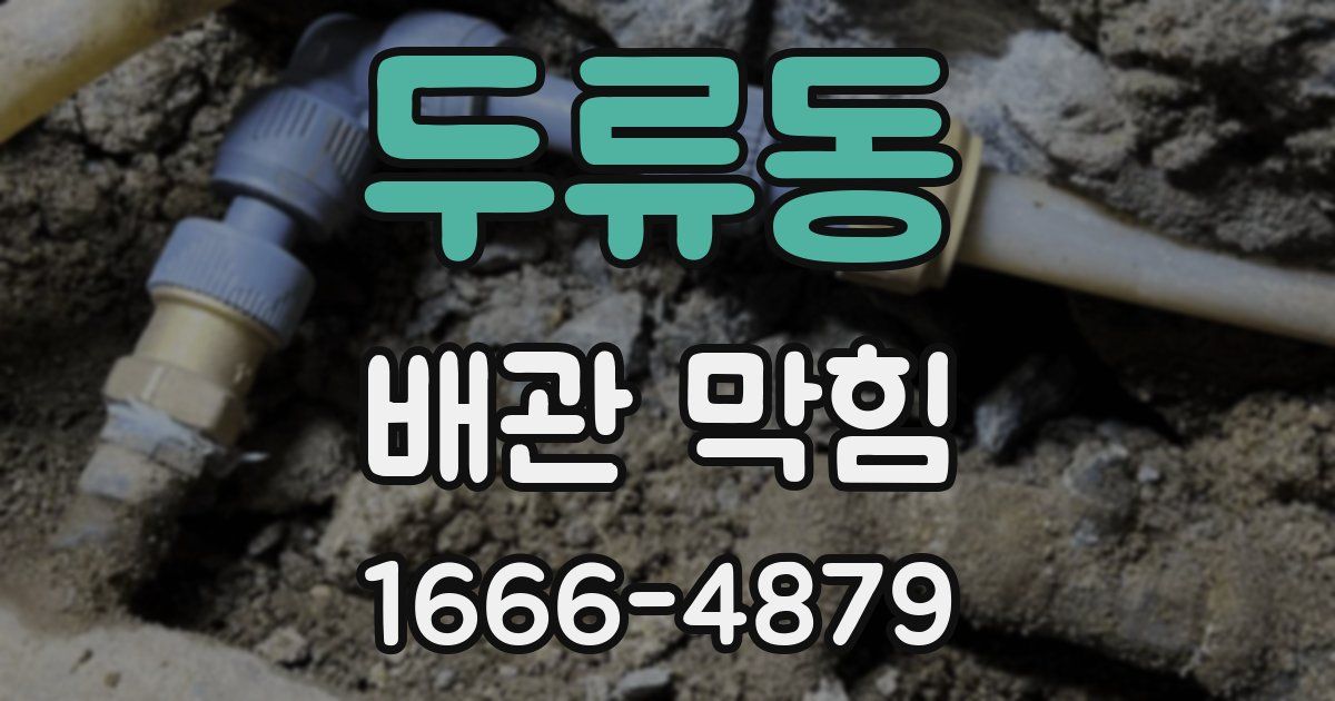 두류동 배관 막힘