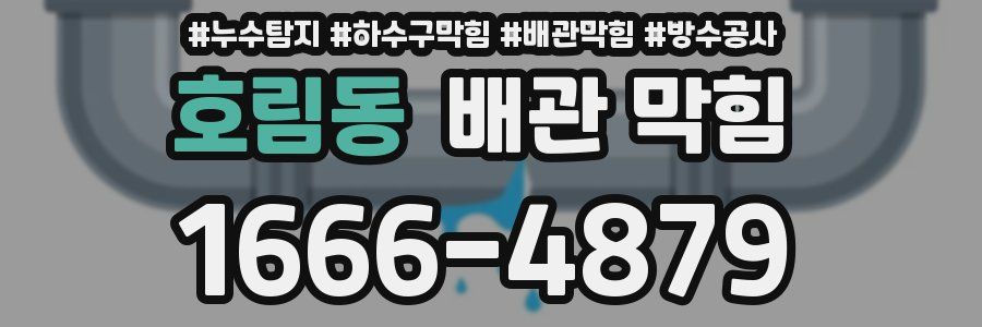 호림동 배관 막힘