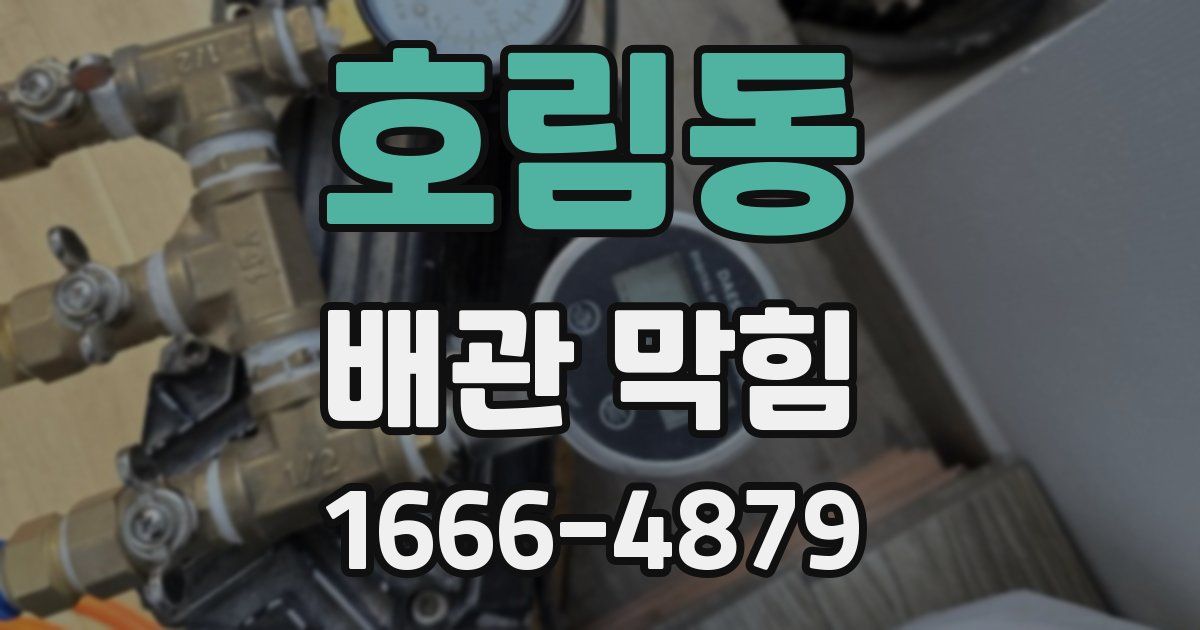 호림동 배관 막힘