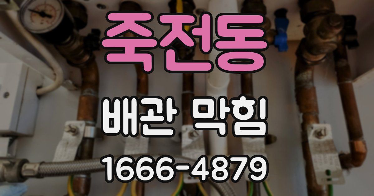 죽전동 배관 막힘