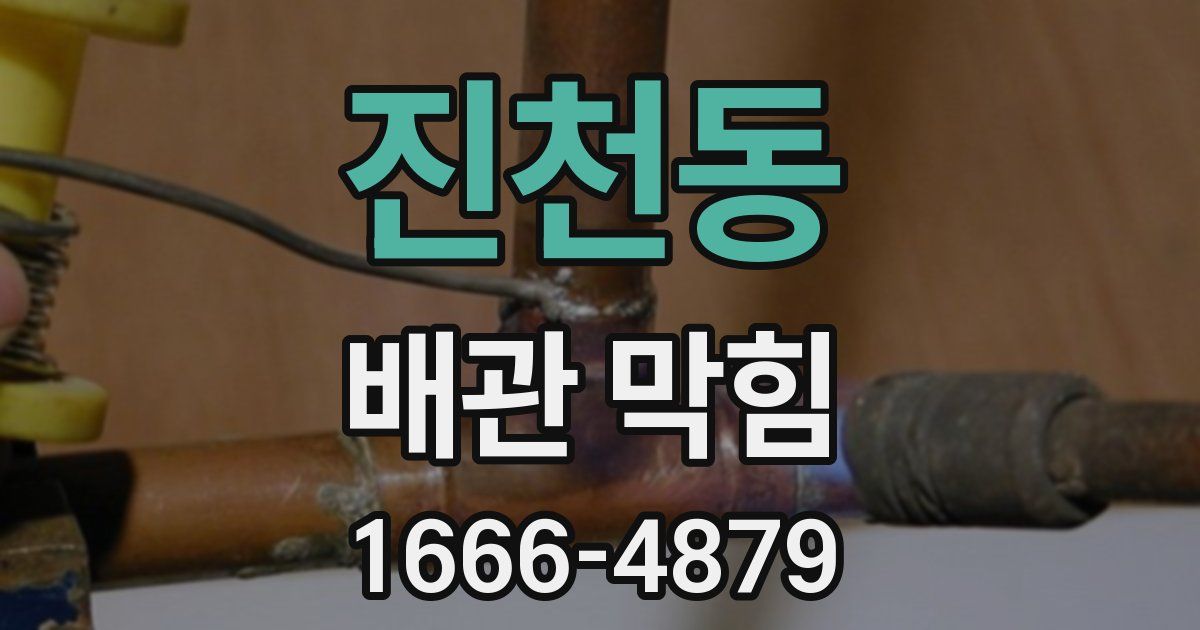 진천동 배관 막힘