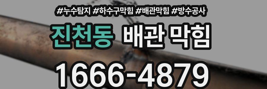 진천동 배관 막힘