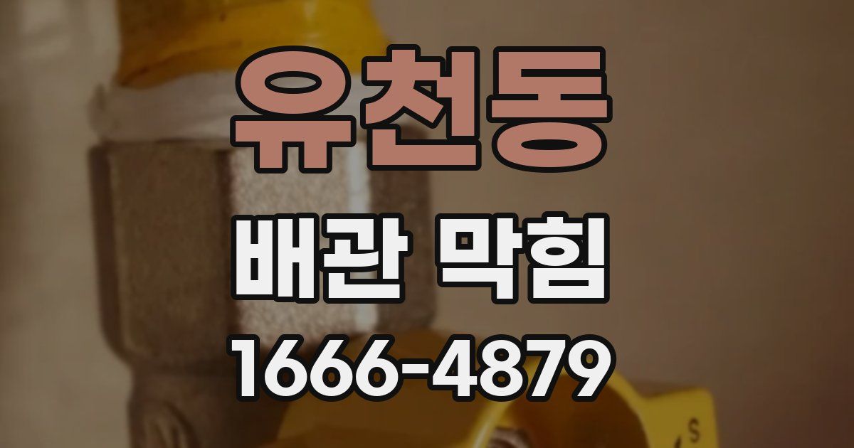 유천동 배관 막힘