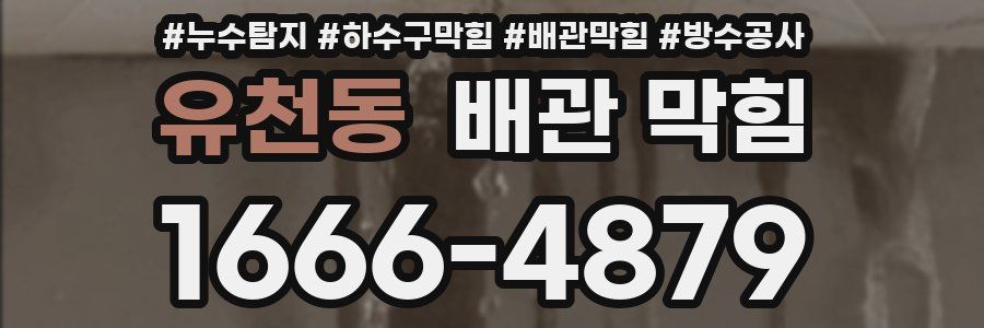 유천동 배관 막힘