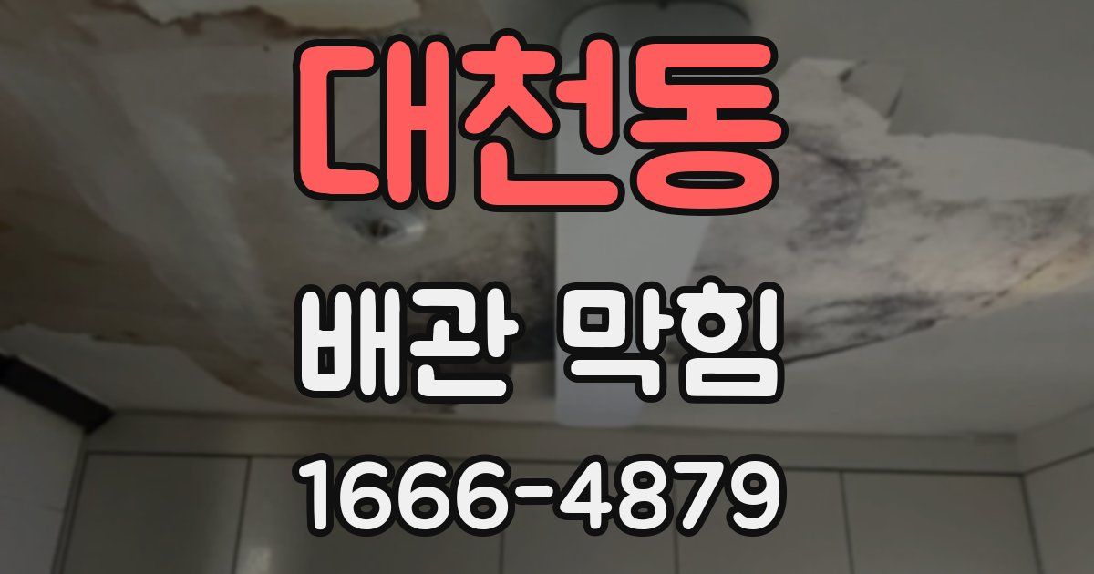 대천동 배관 막힘