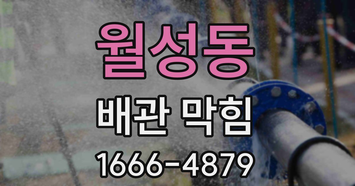 월성동 배관 막힘