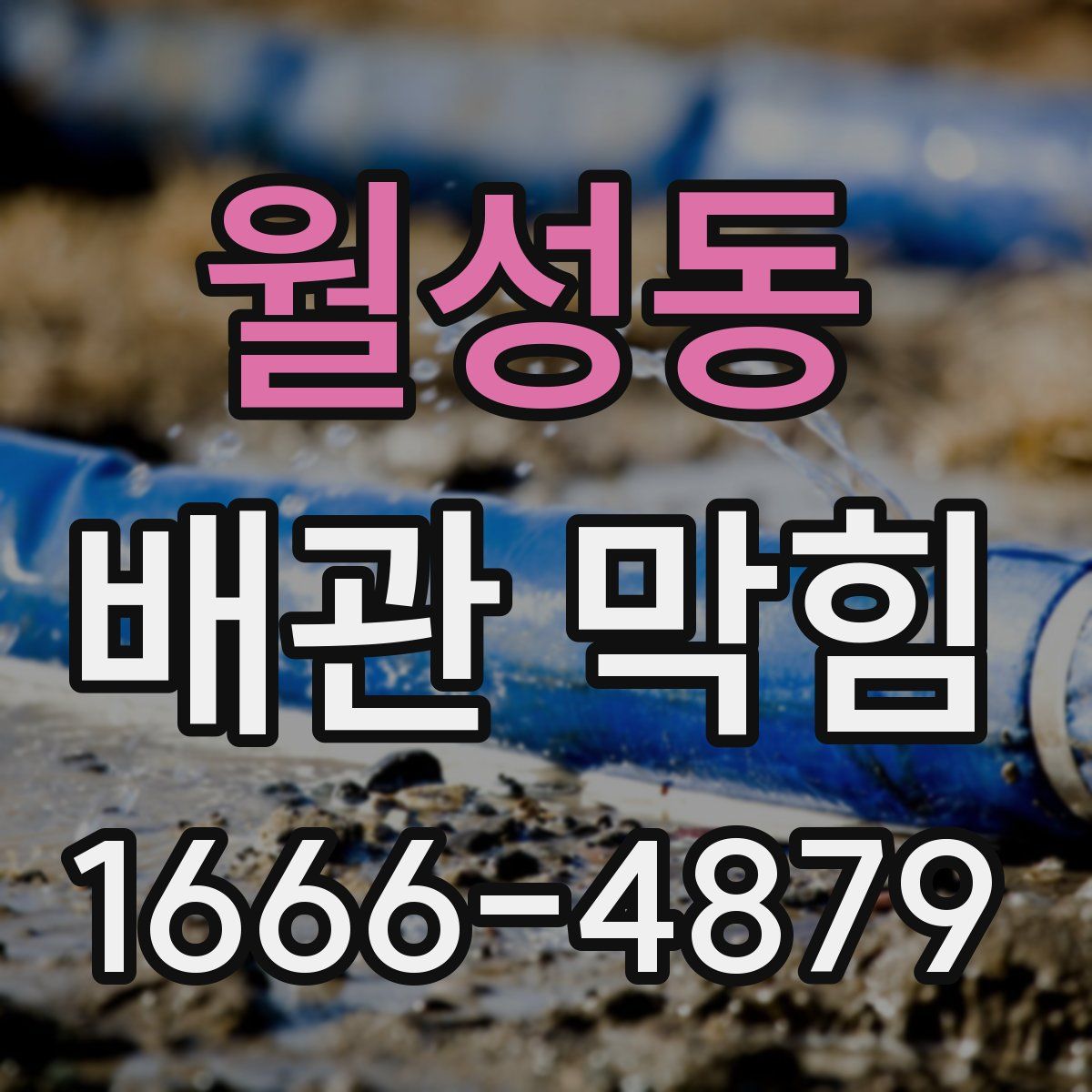 월성동 배관 막힘