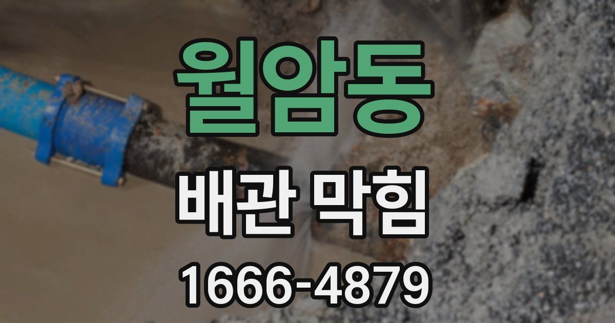 월암동 배관 막힘
