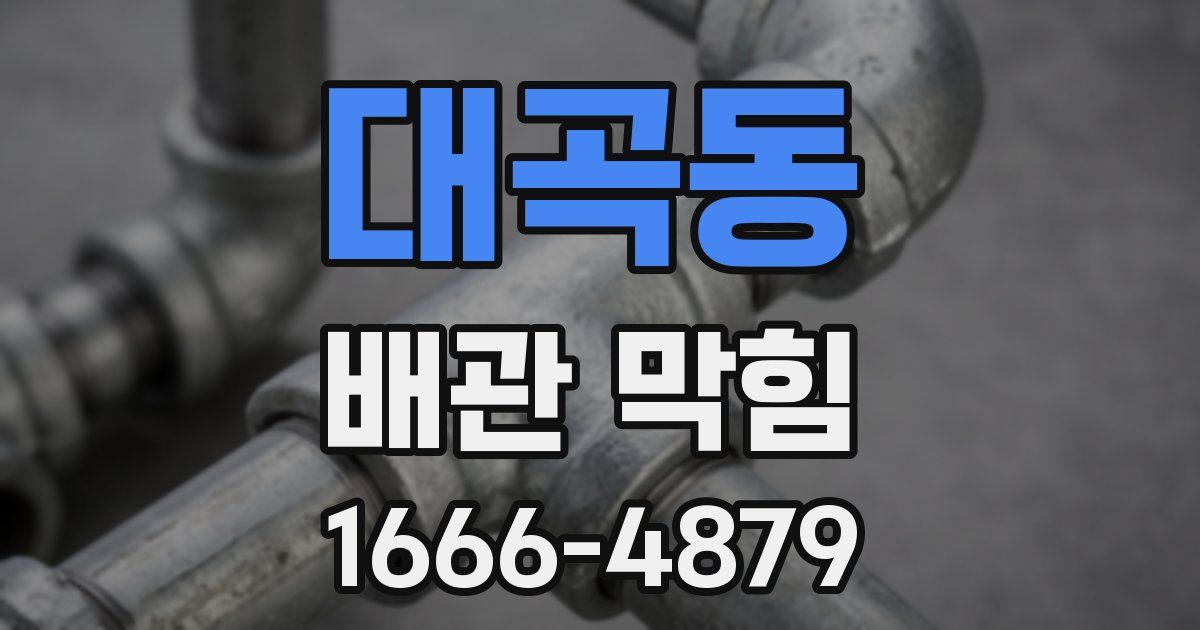 대곡동 배관 막힘