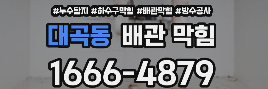 대곡동 배관 막힘