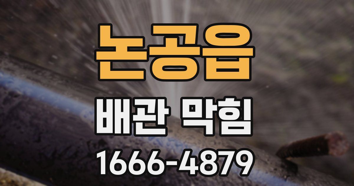 논공읍 배관 막힘