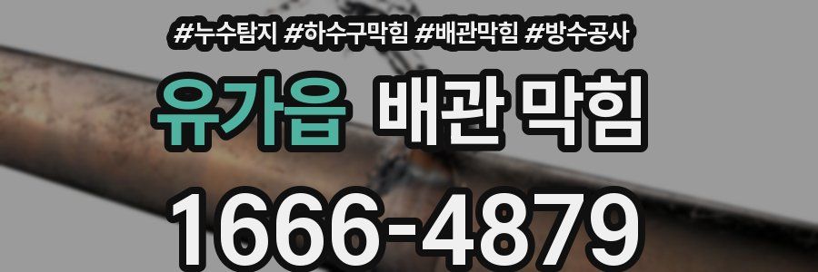 유가읍 배관 막힘